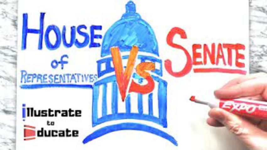 House Of Representatives Vs Senate What Is The Difference Between The House And The Senate 9243