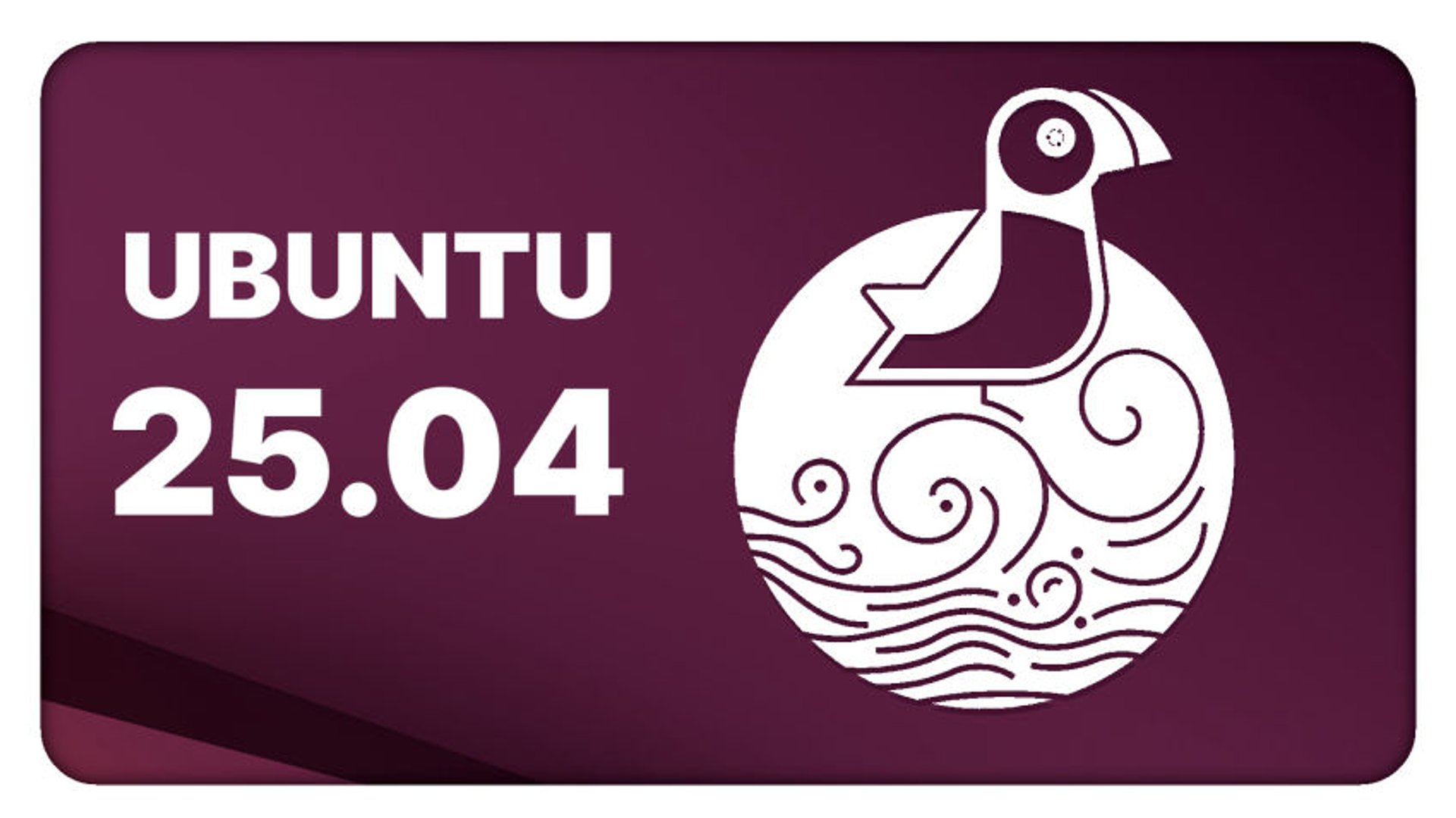 Link Preview Image
