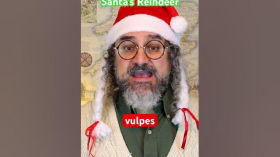 Vixen — Santa’s fourth reindeer #etymology by Main alliterative channel